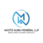 Prav It Solution (12)